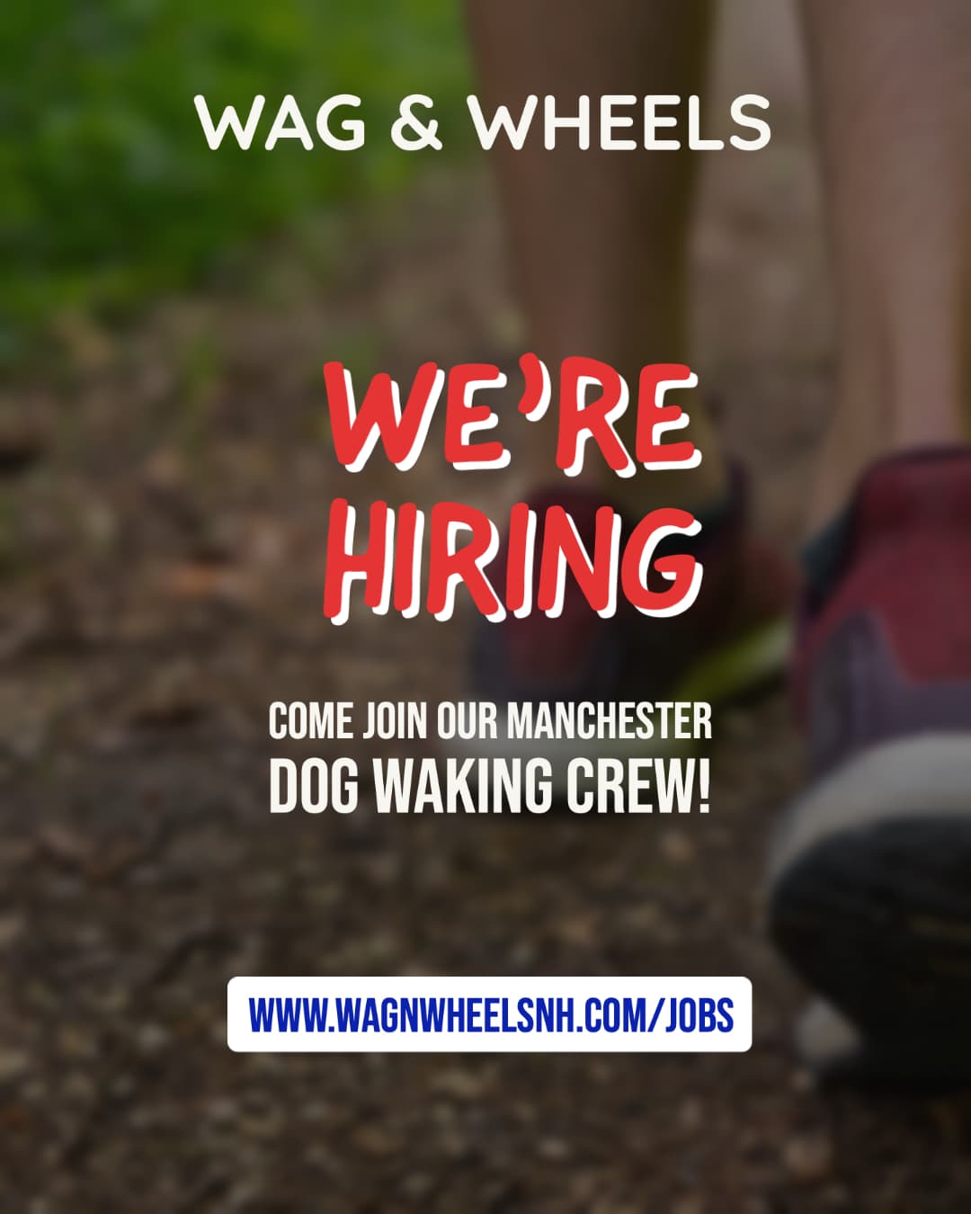 Job openings at Wag & Wheels